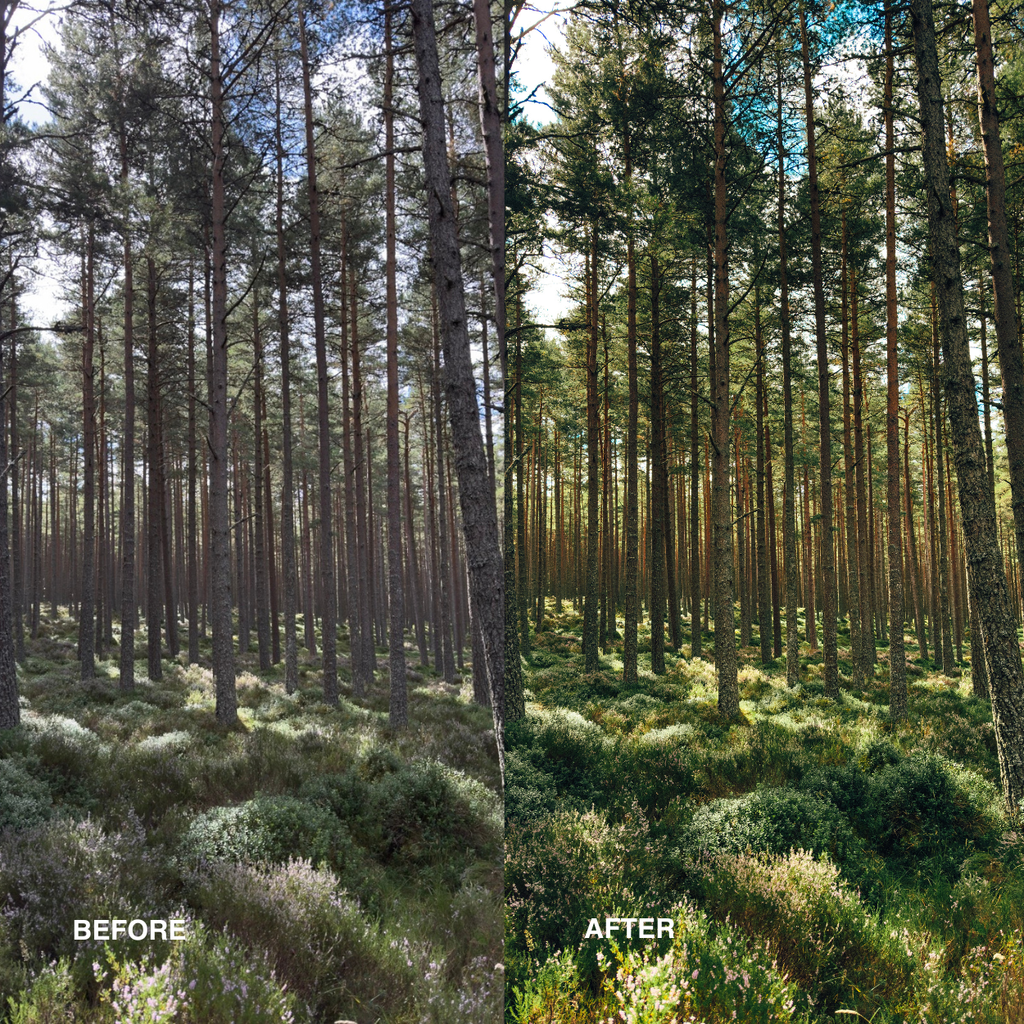 iPhone ProRAW Presets - Daylight Collection